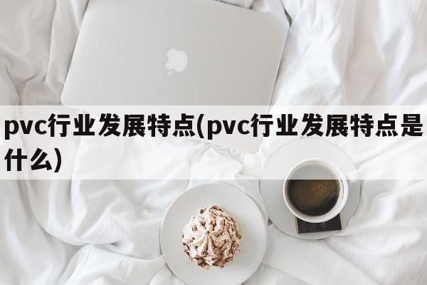 pvc行业发展特点(pvc行业发展特点是什么)